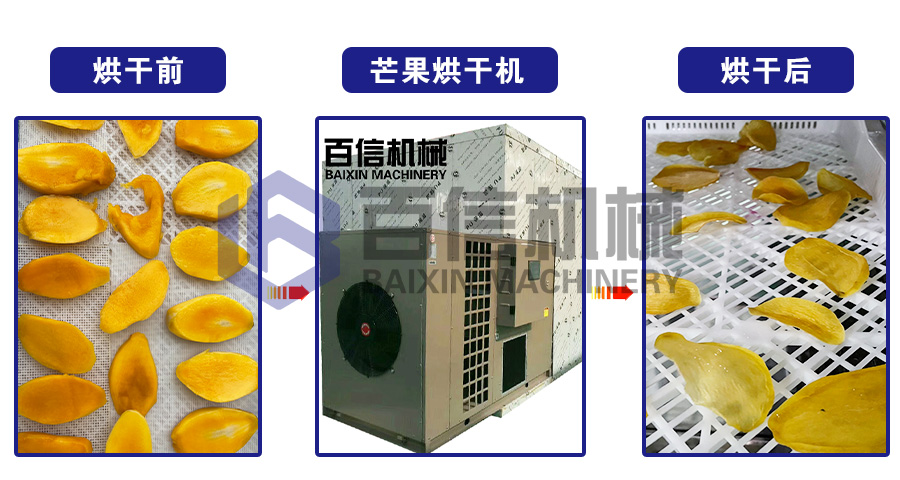 芒果烘干機(jī)